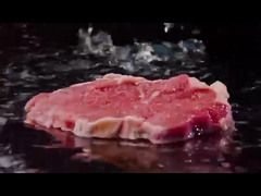 Heavy Duty Stick Hand Blender 800W 12 Speed Copper Motor With Chopper / Whisk